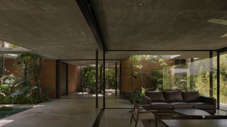 A Forest in the House